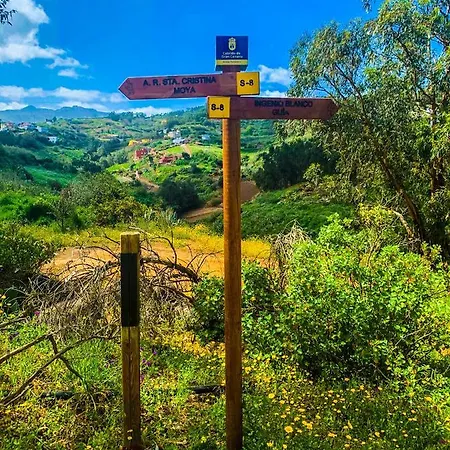 Rural Caricia De Brisa - Rural Experience Fully Equipped & Big Jacuzzi & Bbq - Enjoy Gran Canaria From The North * El Palmital